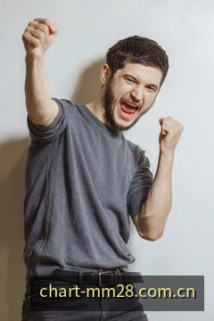 秒秒28数据规律示意微缩图